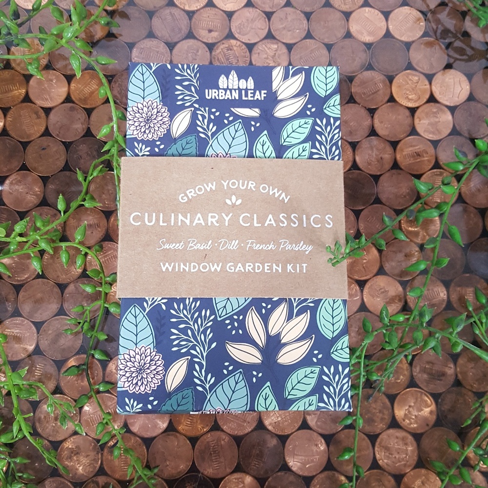 CULINARY CLASSICS – BOTTLE GARDEN KIT